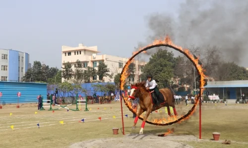 School Activities
